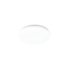 LED CEILING LIGHT WHITE COVER 24W 6500K/SURFACE MOUNTED/COLOR BOX/MX M41