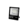 LED FLOOD LIGHT WITH SOLAR PANEL04 100W 6500K/MX