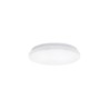 LED CEILING LIGHT WHITE COVER 12W 6500K/SURFACE MOUNTED/COLOR BOX/MX M31